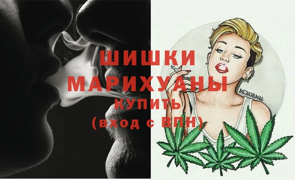 стафф Михайлов