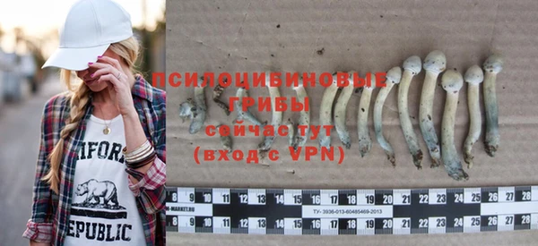 альфа пвп Медвежьегорск