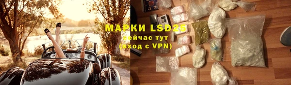 стафф Михайлов