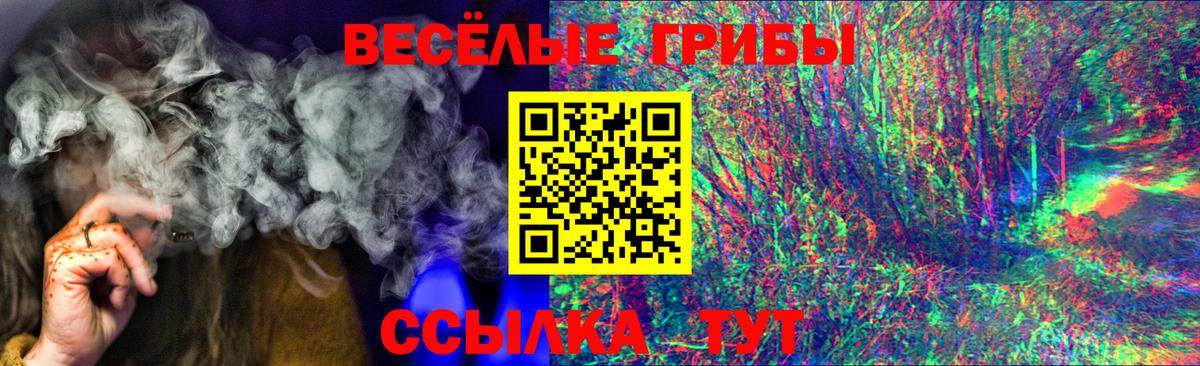 Галлюциногенные грибы Psilocybine cubensis  Вход с VPN  Старая Русса  Псилоцибиновые грибы мухоморы 